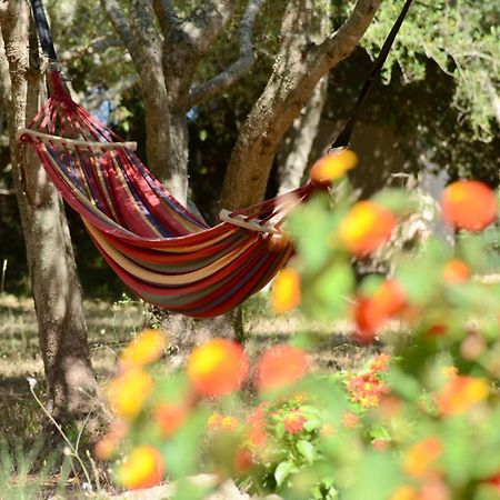 Finca Katia カプデペラ エクステリア 写真