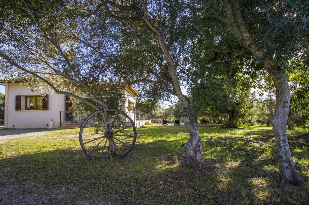 Finca Katia カプデペラ エクステリア 写真