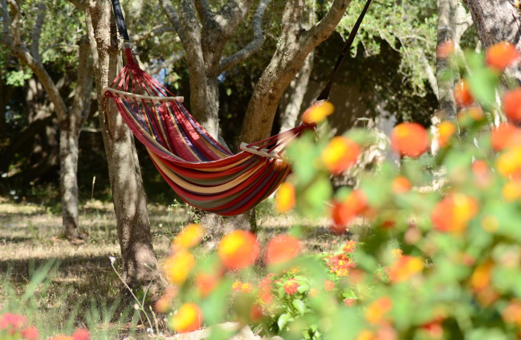 Finca Katia カプデペラ エクステリア 写真